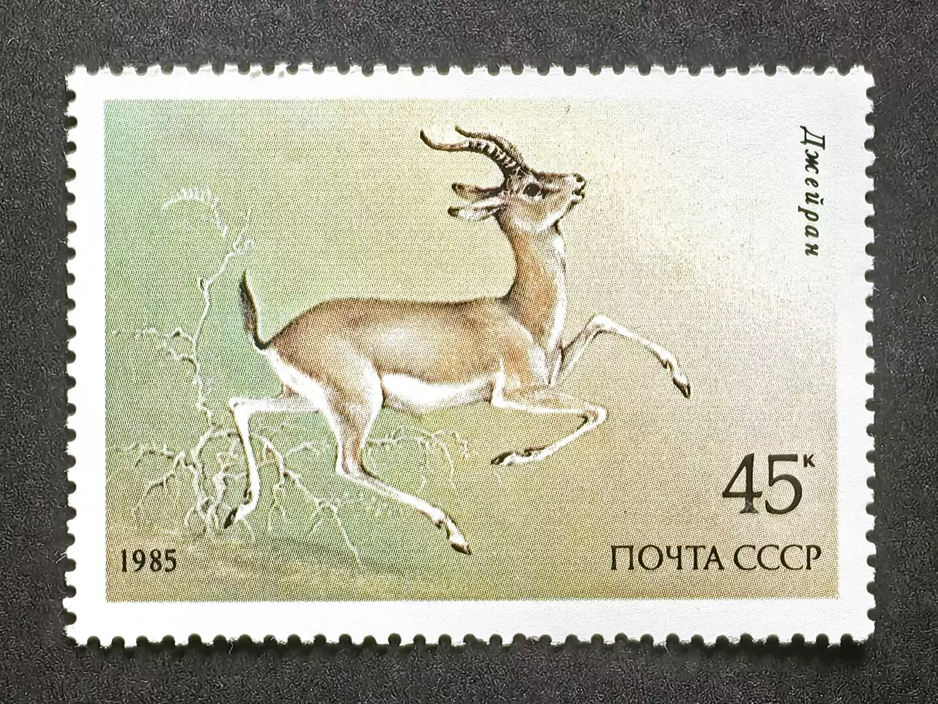 СССР 1985. Животные Красной книги СССР. Джейран.