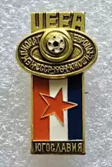 Значок. Чемпионат Европы по футболу среди юношей. СССР 1984. Югославия.