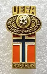 Значок. Чемпионат Европы по футболу среди юношей. СССР 1984. Австрия.