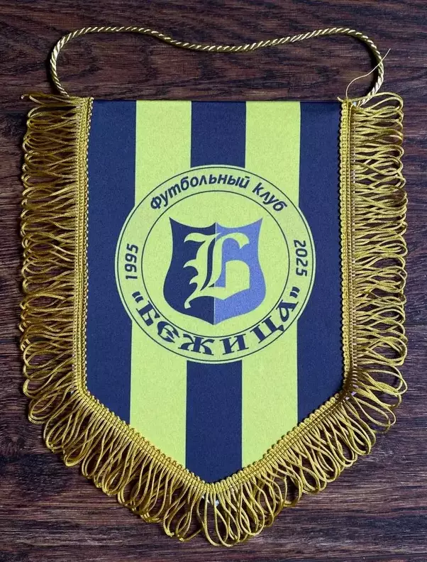 Вымпел. ФК Бежица Брянск. 13х18 см.