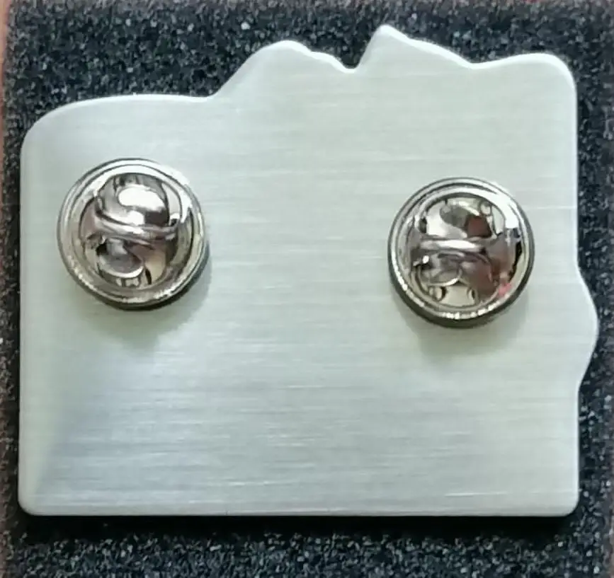 Значок. Леопард. Талисман олимпийских игр 2014. Сочи. 1