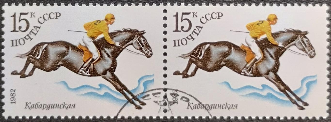 СССР 1982. Конный спорт. Кабардинская. Гашеная. Пара.