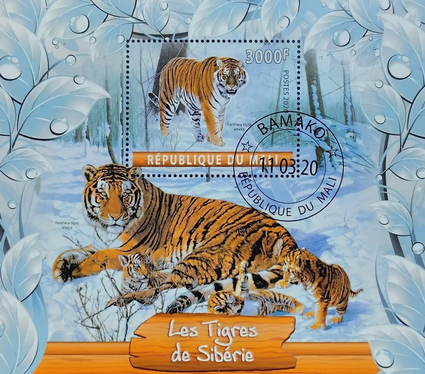 Блок. Мали 2020. Фауна. Амурский тигр.