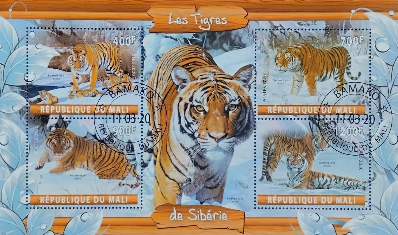 Малый лист. Мали 2020. Фауна. Амурский тигр.