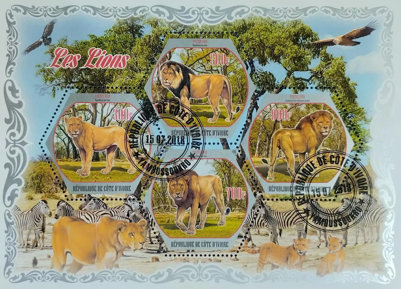 Малый лист. Кот-д’Ивуар 2018. Фауна. Львы.