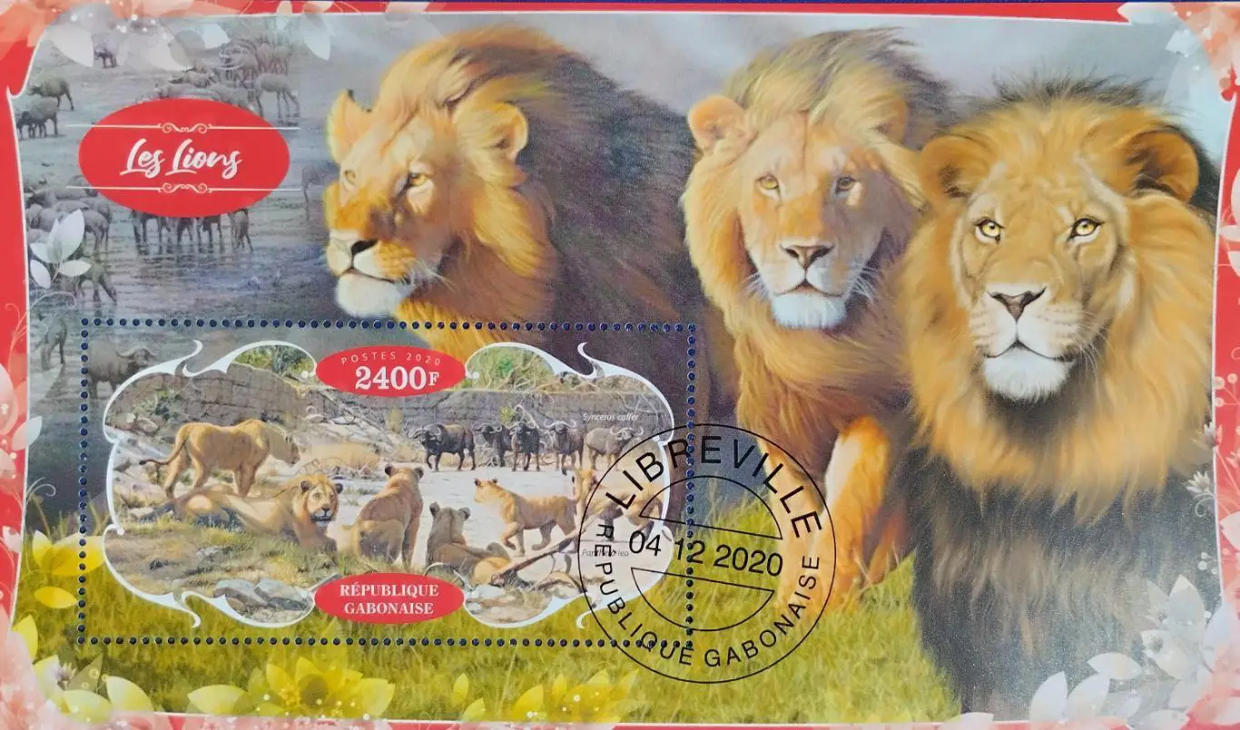 Блок. Габон 2020. Фауна. Львы.
