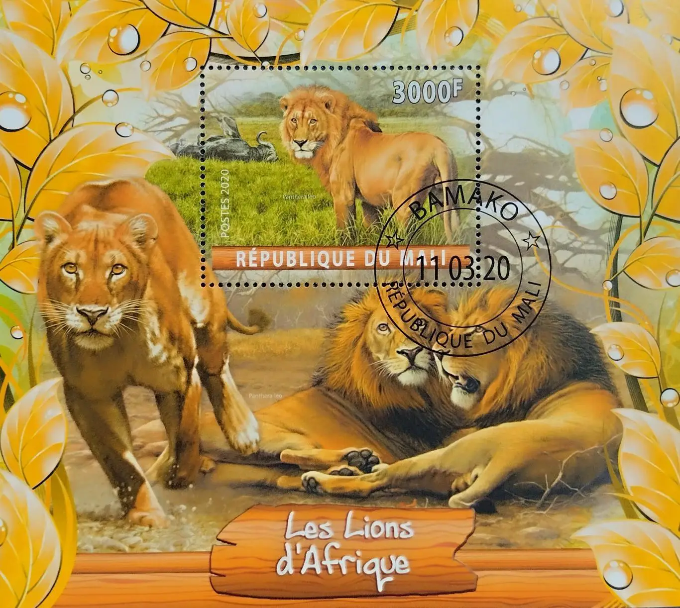 Блок. Мали 2020. Фауна. Львы.