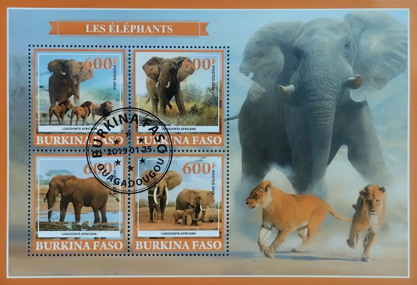 Малый лист. Буркино Фасо 2019. Фауна. Слоны.