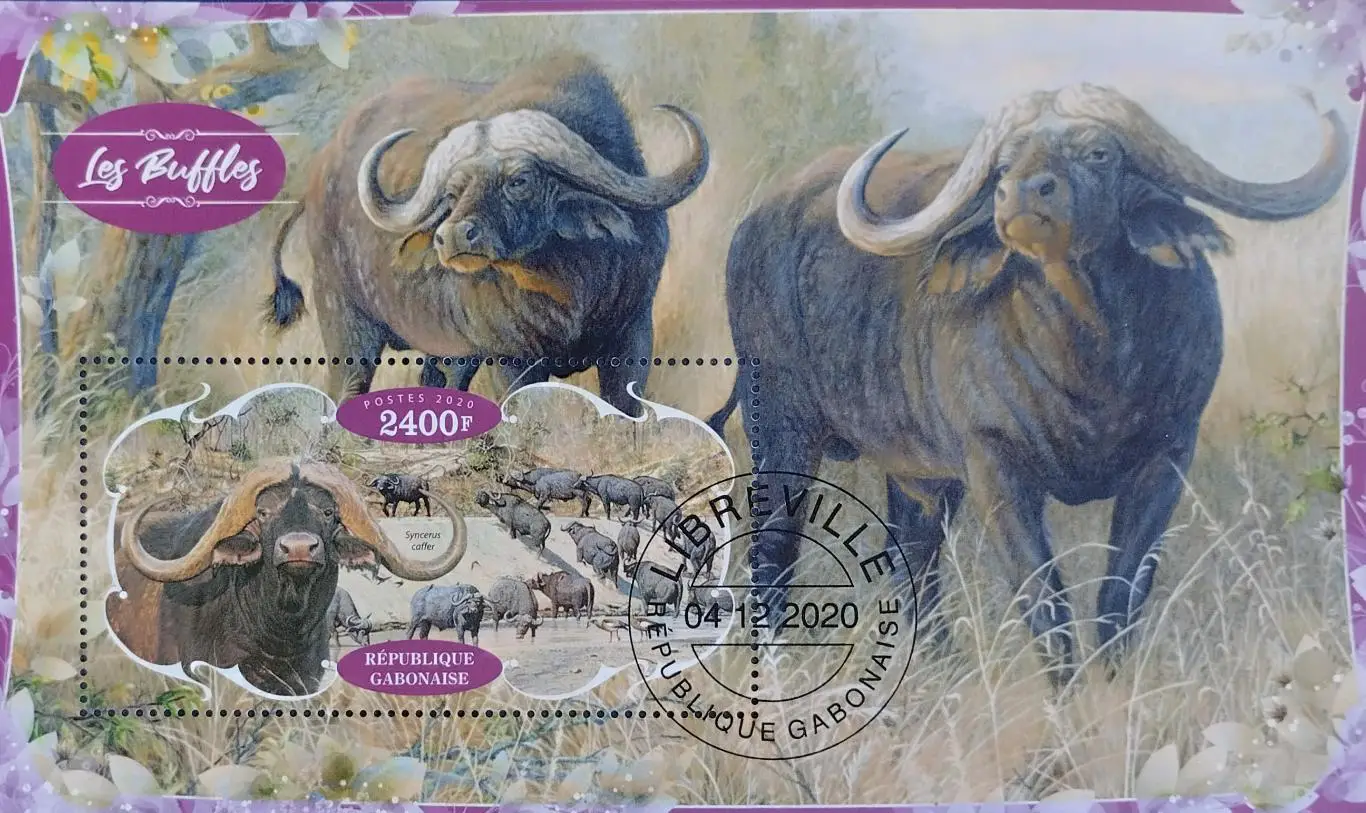 Блок. Габон 2020. Фауна. Буйволы.