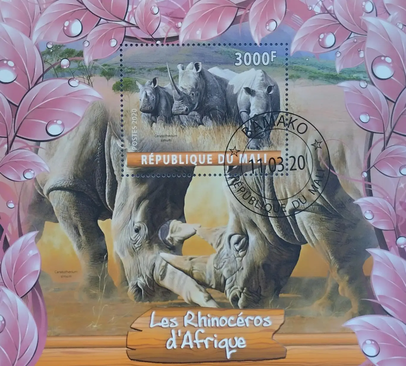 Блок. Мали 2020. Фауна. Носороги.