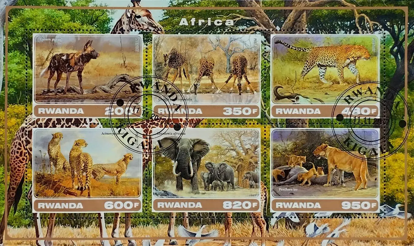 Малый лист. Руанда 2017. Фауна. Дикие животные Африки.