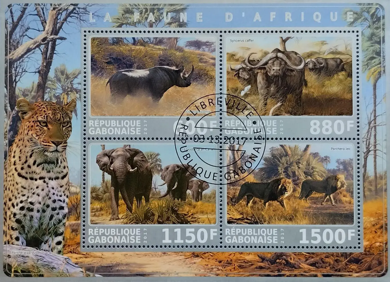 Малый лист. Габон 2017. Фауна. Дикие животные Африки.