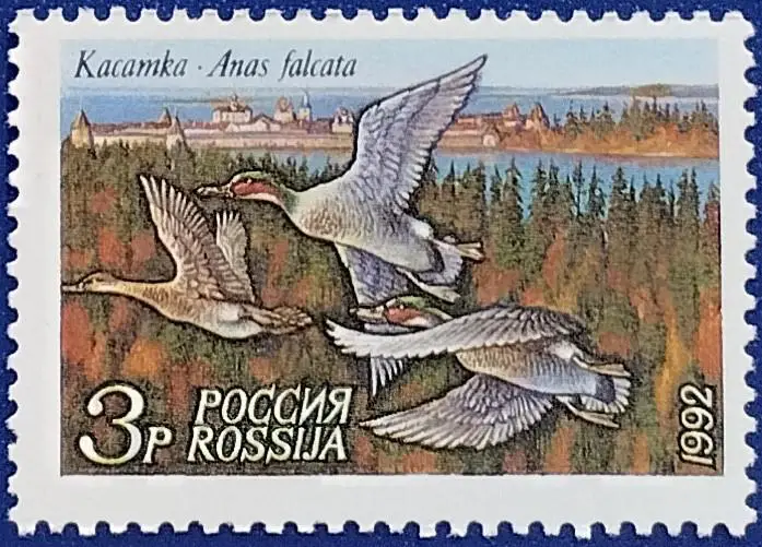 Россия 1992. Утки. Касатка.