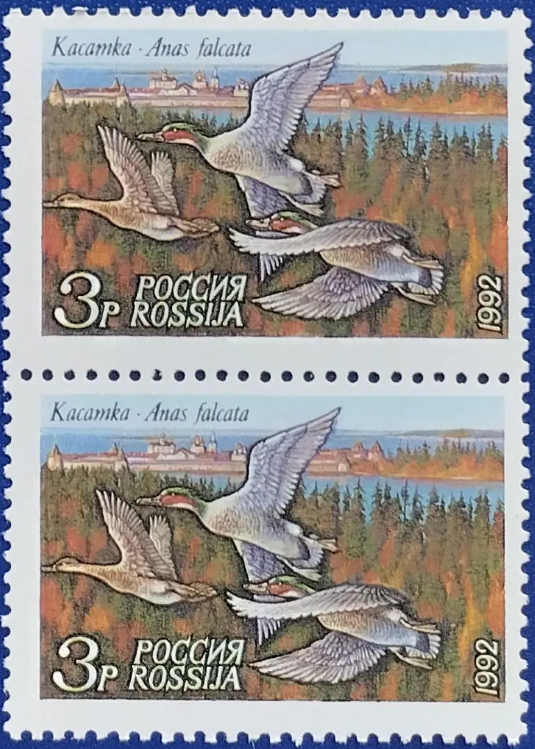 Россия 1992. Утки. Касатка. Пара. 1
