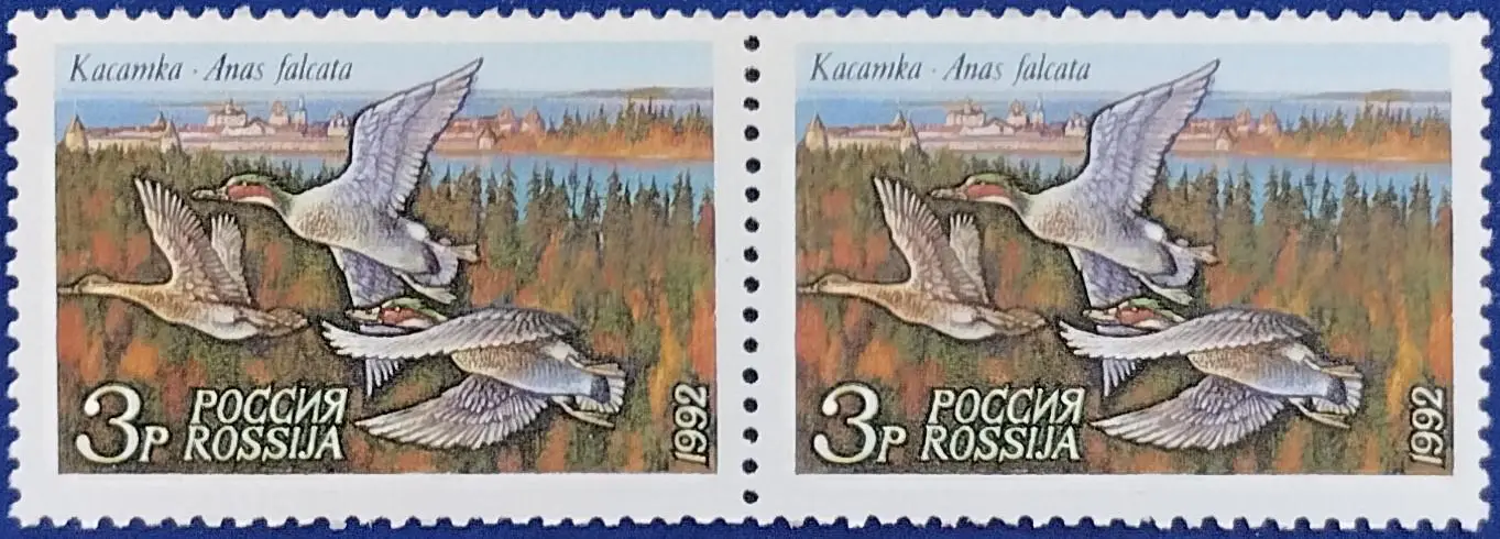 Россия 1992. Утки. Касатка. Пара. 2