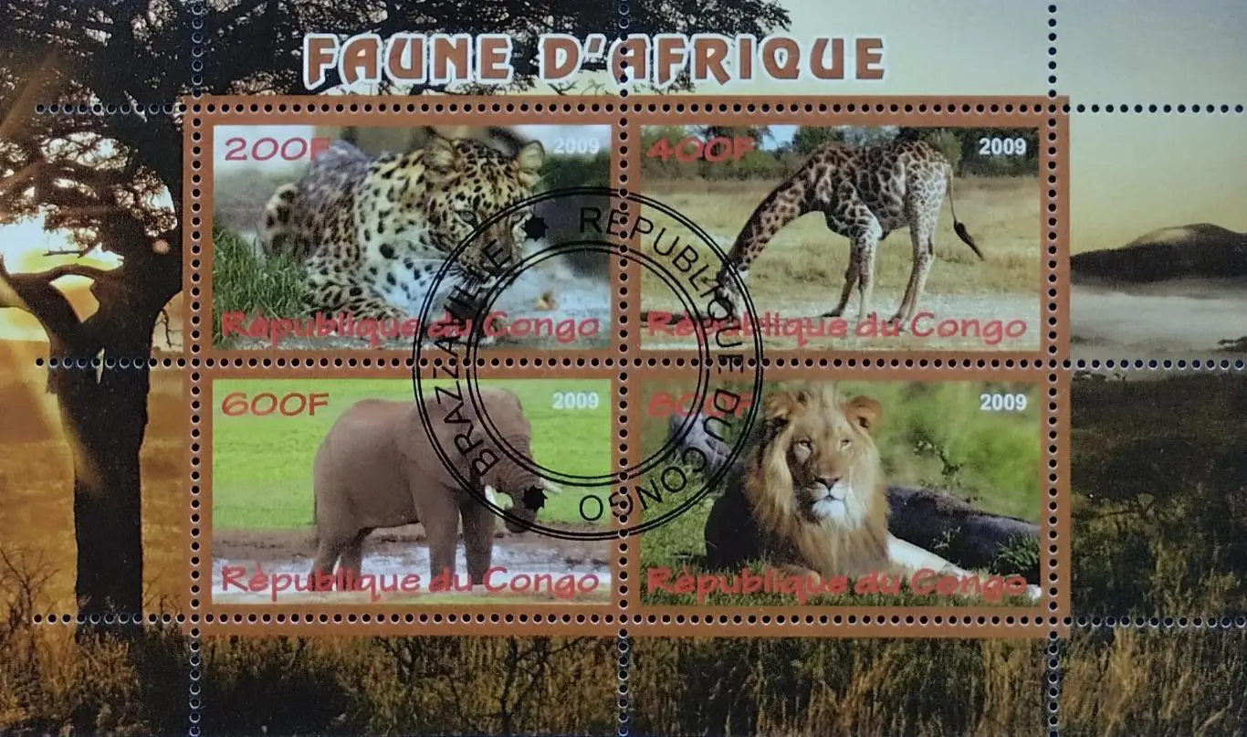 Малый лист. Конго 2009. Фауна. Дикие животные Африки.
