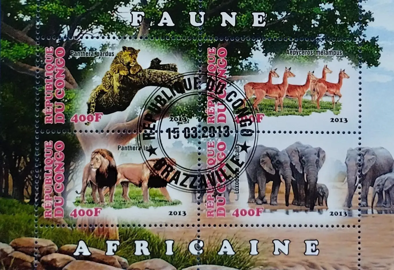 Малый лист. Конго 2013. Фауна. Дикие животные Африки. 1