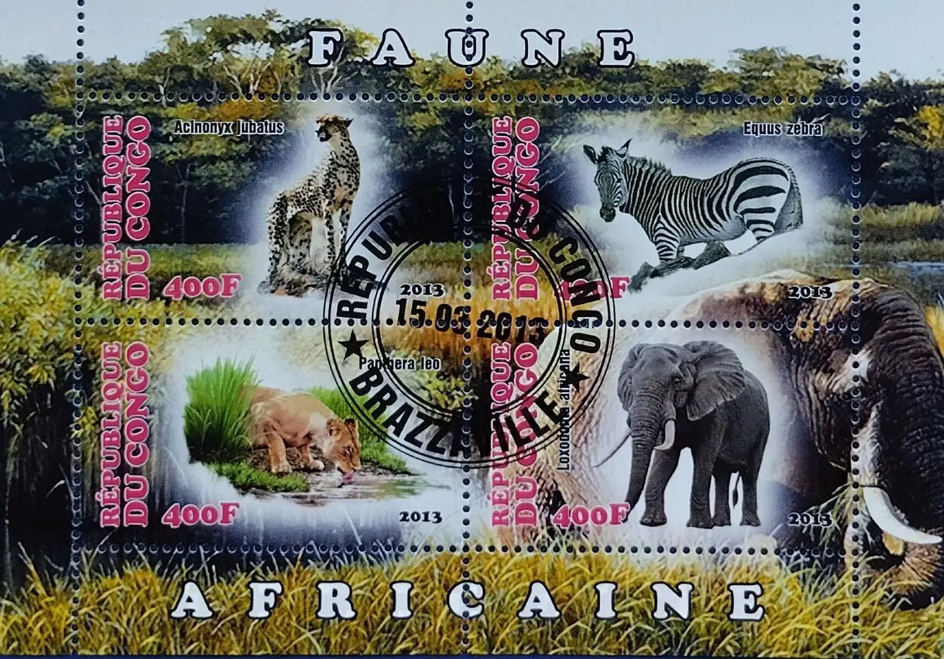 Малый лист. Конго 2013. Фауна. Дикие животные Африки. 2