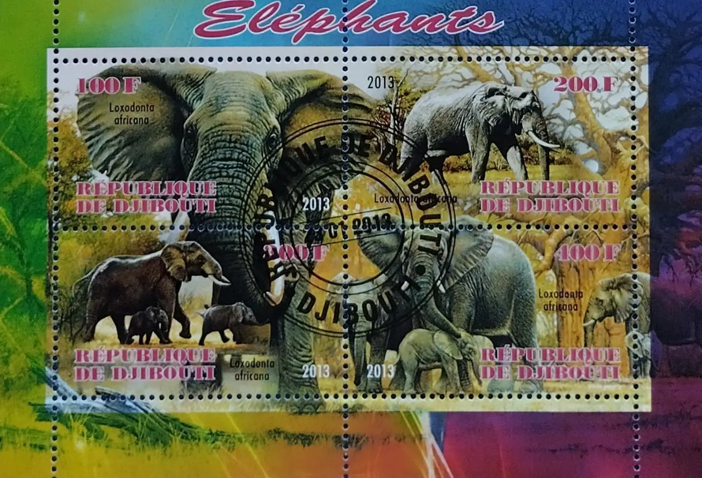 Малый лист. Джибути 2013. Фауна. Африканские слоны.