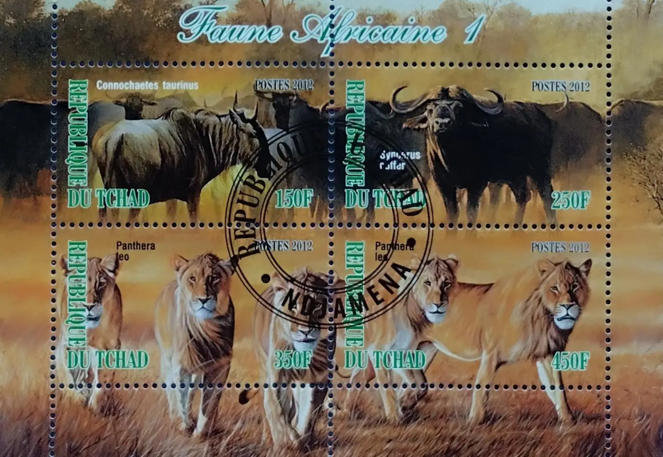 Малый лист. Чад 2012. Фауна. Дикие животные Африки.