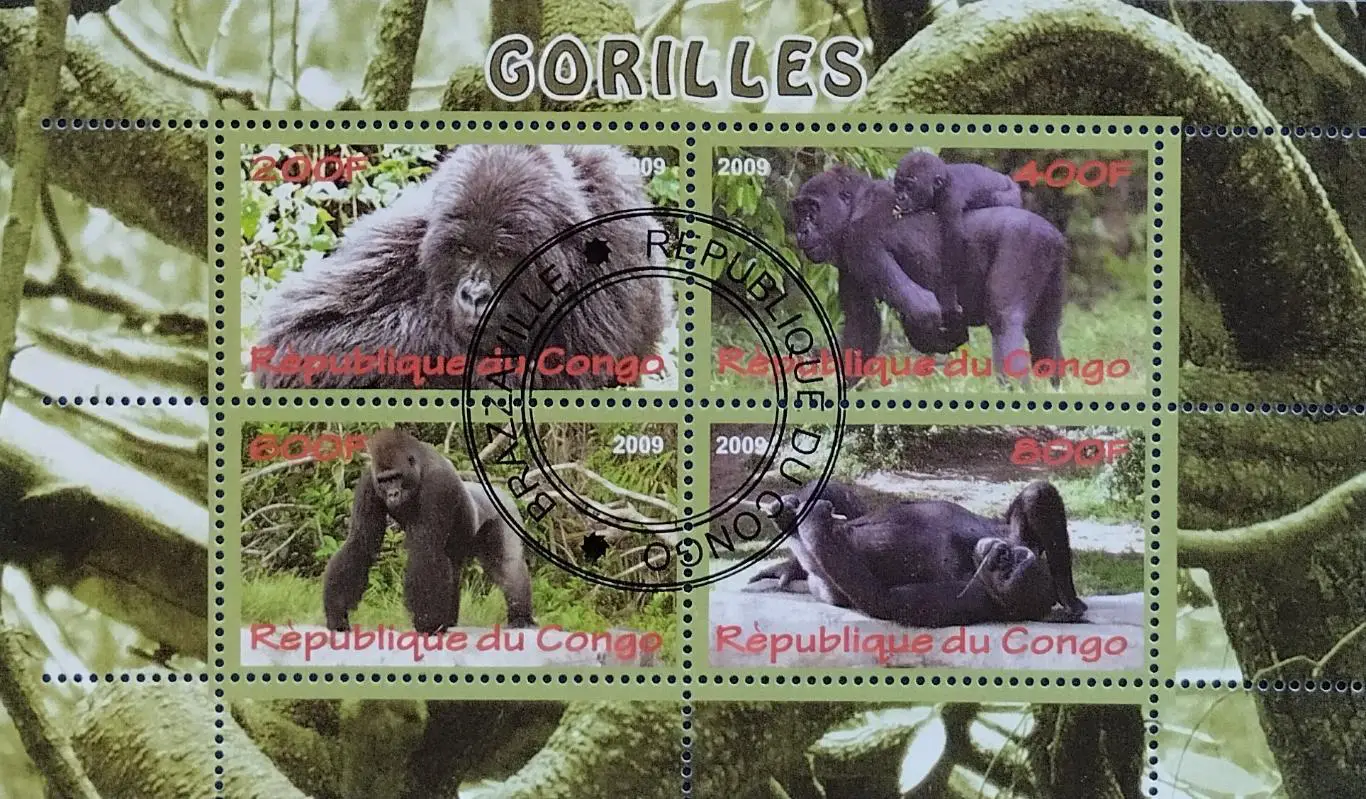 Малый лист. Конго 2009. Фауна. Гориллы.