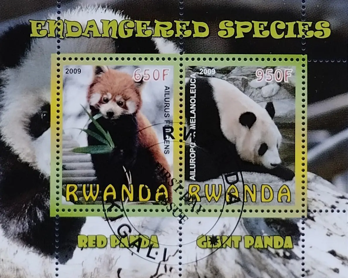 Малый лист. Руанда 2009. Фауна. Панды.