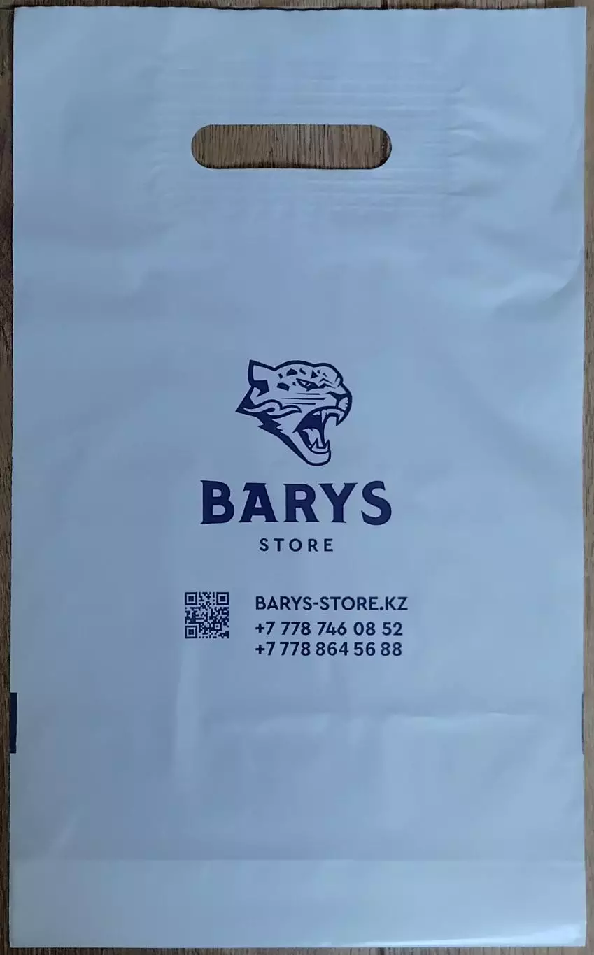 Пакет. ХК Барыс Астана Казахстан.