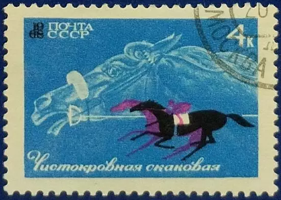 СССР 1968. Коневодство и конный спорт в СССР. Скаковая лошадь. Гашеная.