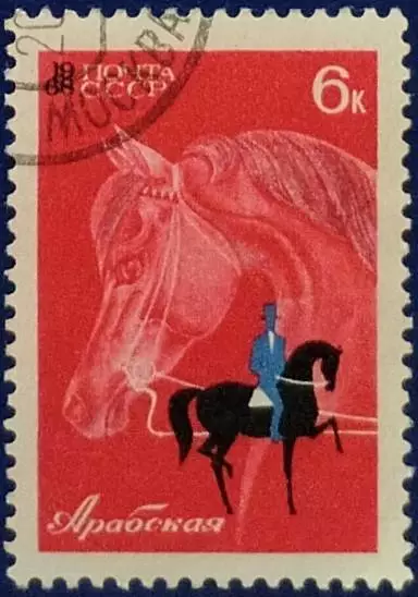 СССР 1968. Коневодство и конный спорт в СССР. Арабская лошадь. Гашеная.