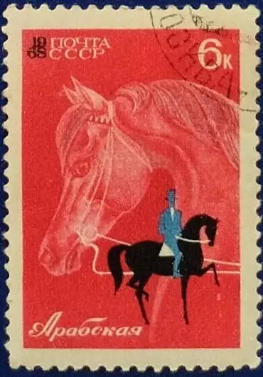 СССР 1968. Коневодство и конный спорт в СССР. Арабская лошадь. Гашеная.