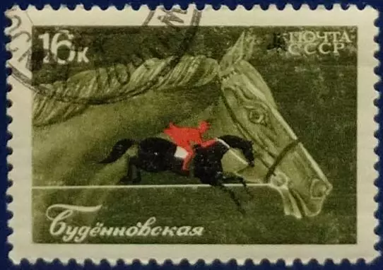 СССР 1968. Коневодство и конный спорт в СССР. Буденновская лошадь. Гашеная.