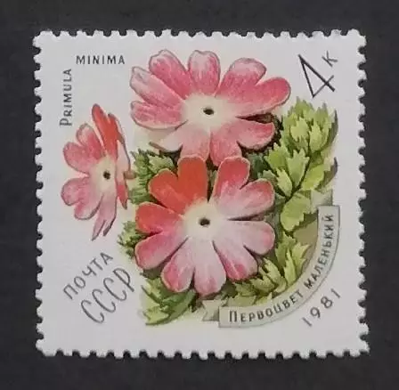 СССР 1981. Цветы украинских Карпат. Первоцвет маленький.
