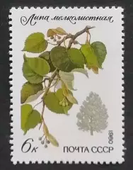 СССР 1980. Охраняемые породы деревьев и кустарников. Липа мелколистная.
