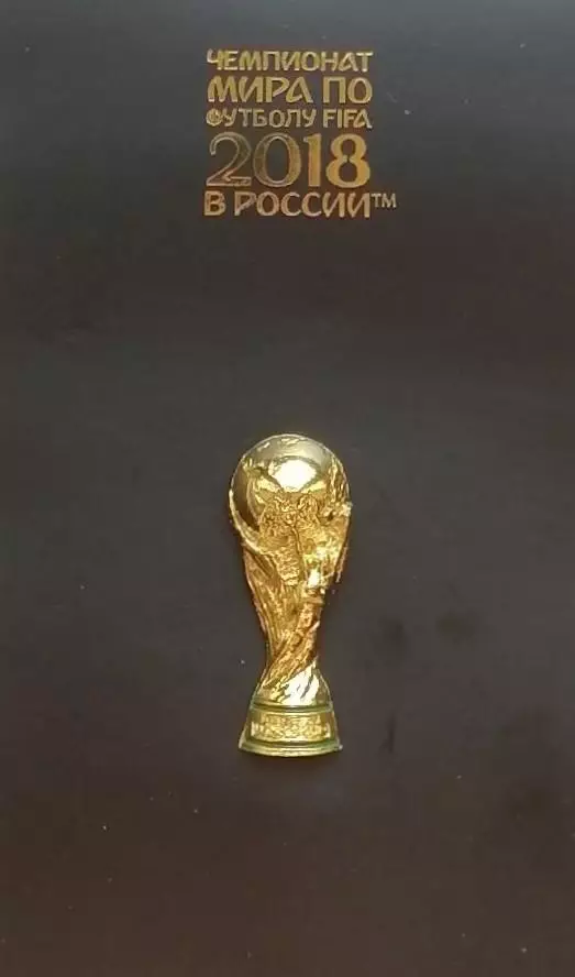 Значок. Чемпионат мира по футболу 2018. Россия 2018. Кубок. 1