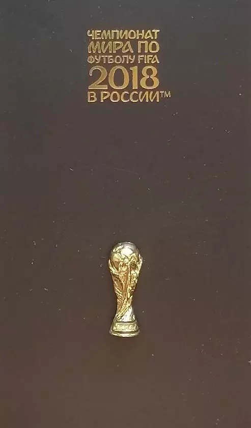 Значок. Чемпионат мира по футболу 2018. Россия 2018. Кубок. 2
