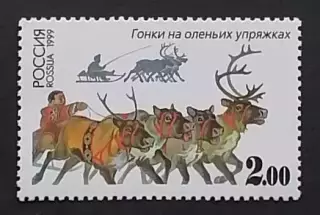 Россия 1999. Спортивные игры народов России. Гонки на оленьих упряжках.