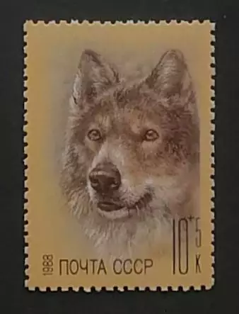 СССР 1988. Фауна. Фонд помощи зоопаркам. Волк.