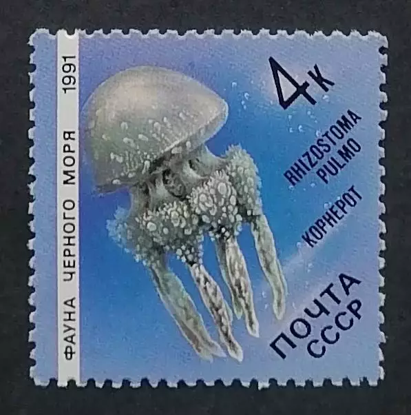 СССР 1991. Фауна Черного моря. Медуза корнерот.