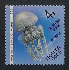 СССР 1991. Фауна Черного моря. Медуза корнерот.