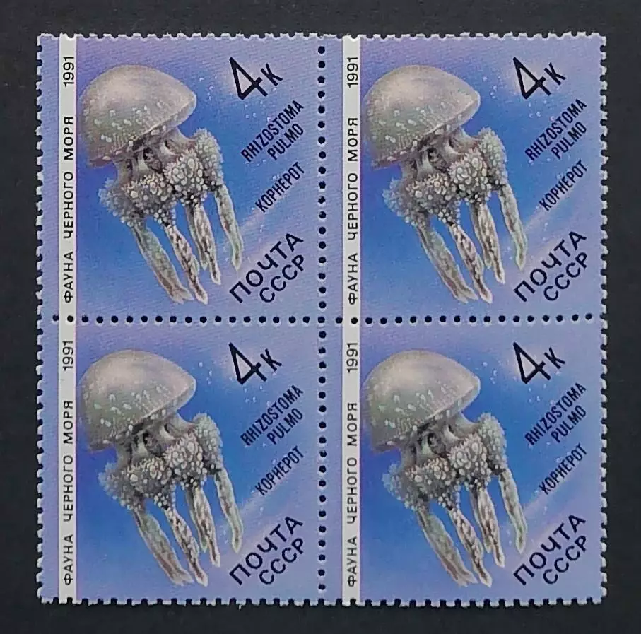 СССР 1991. Фауна Черного моря. Медуза корнерот. Квартблок.