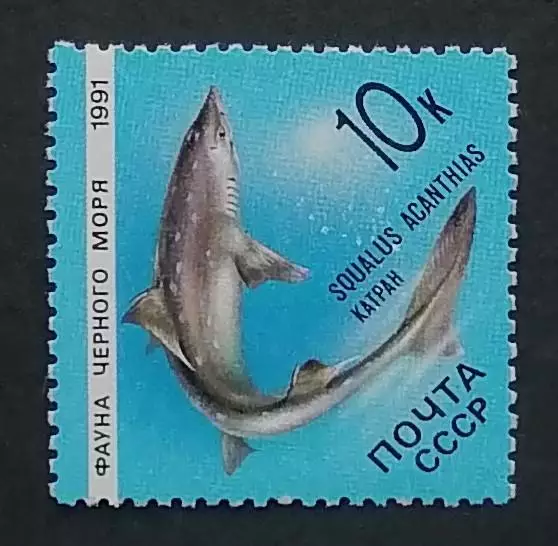 СССР 1991. Фауна Черного моря. Катран.