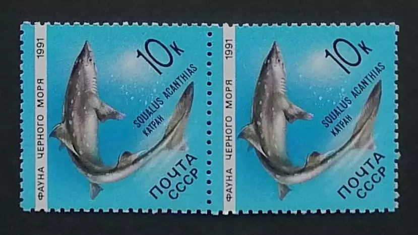 СССР 1991. Фауна Черного моря. Катран. Пара.1