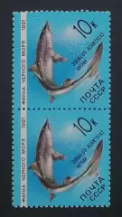 СССР 1991. Фауна Черного моря. Катран. Пара.2