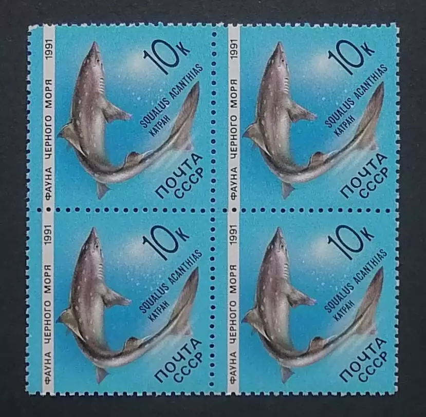 СССР 1991. Фауна Черного моря. Катран. Квартблок.