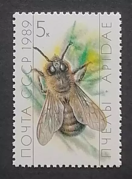 СССР 1989. Пчеловодство. Трутень.