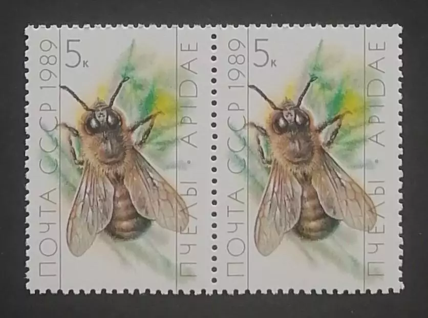 СССР 1989. Пчеловодство. Трутень. Пара.1