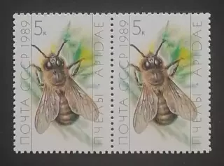 СССР 1989. Пчеловодство. Трутень. Пара.1