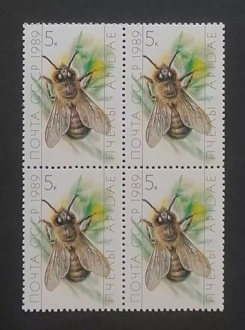 СССР 1989. Пчеловодство. Трутень. Квартблок.