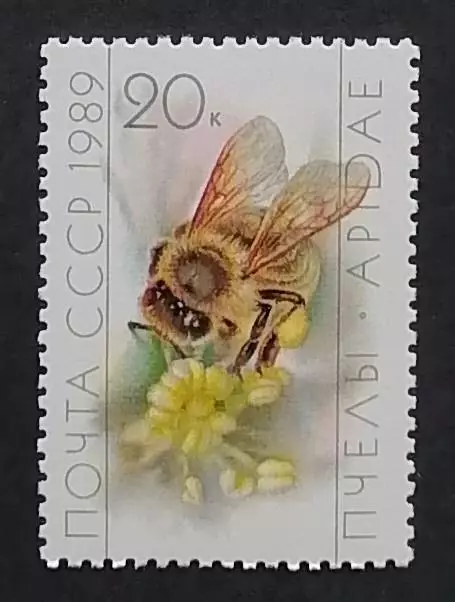 СССР 1989. Пчеловодство. Рабочая пчела на цветке.