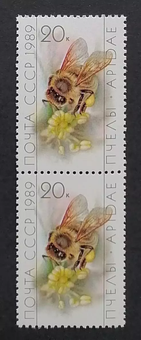 СССР 1989. Пчеловодство. Рабочая пчела на цветке. Пара.2